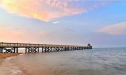 情人桥视频,见证爱情永恒的美丽瞬间