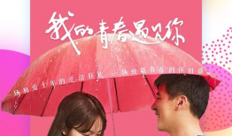 4438视频,揭秘神秘视频背后的故事与真相